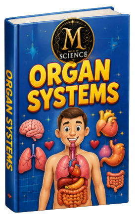 Organ Systems